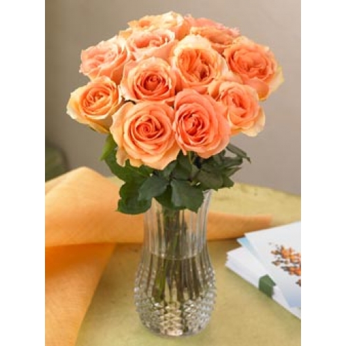 Eco Friendly - 12 Stems In Vase